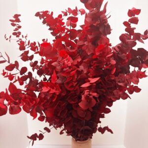 Stuartiana rosso