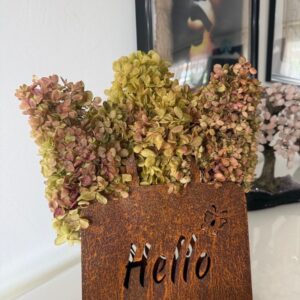 Hydrangea fall assorted
