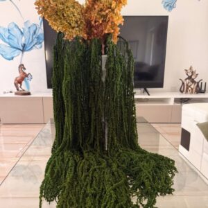 Amaranthus moss green
